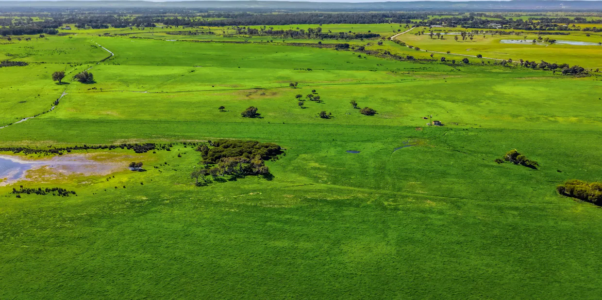 Lot 2728 Doman Road, Lake Clifton, WA, 6215 - Image 2
