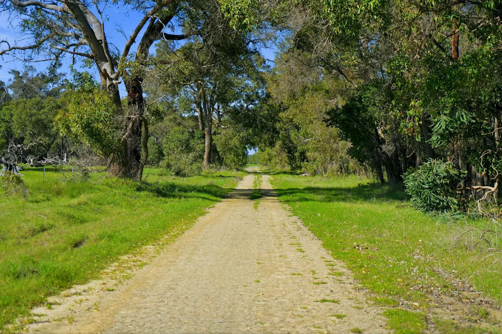 Lot 2728 Doman Road, Lake Clifton, WA, 6215 - Image 15