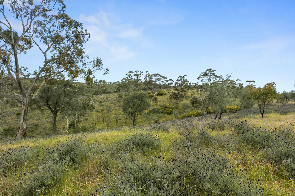 125 Emu Flat Road — photo 3 of 18
