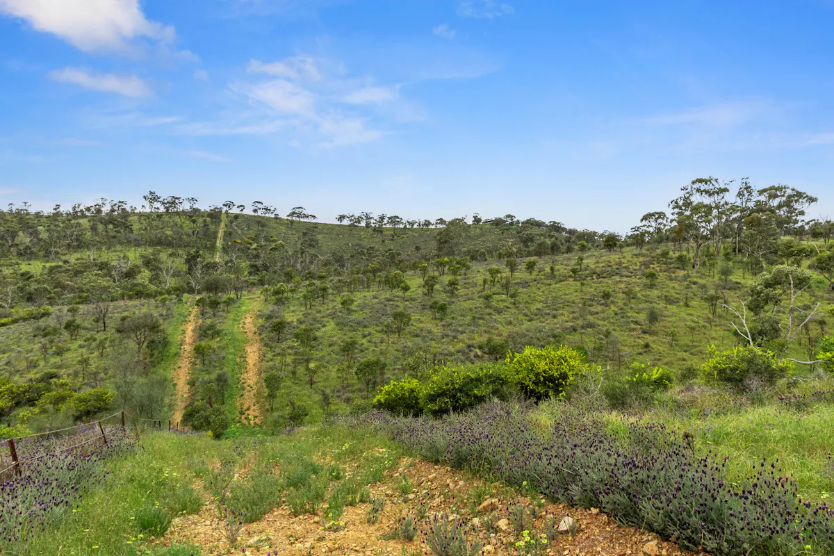 125 Emu Flat Road — photo 4 of 18