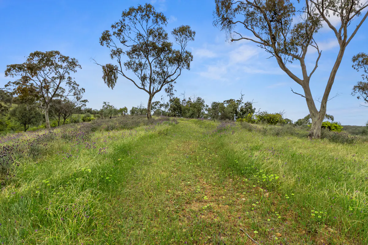 125 Emu Flat Road — photo 5 of 18