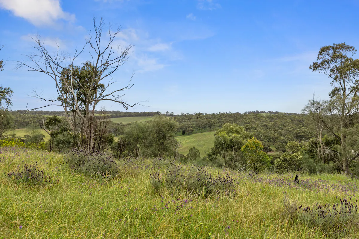125 Emu Flat Road — photo 6 of 18