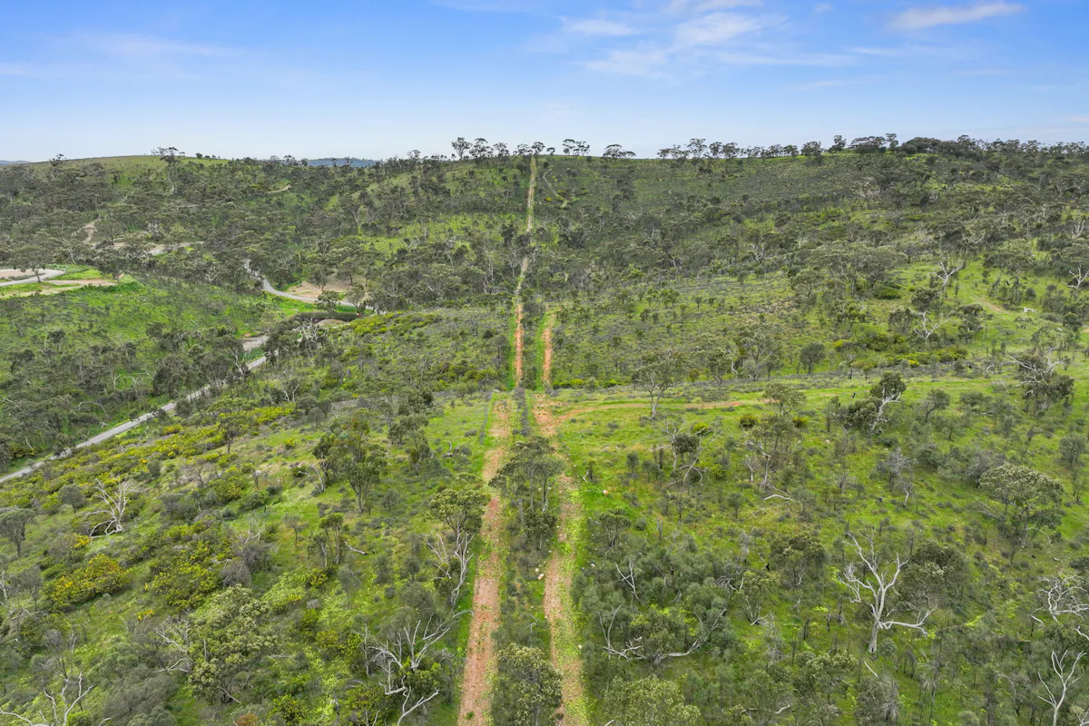 125 Emu Flat Road — photo 7 of 18