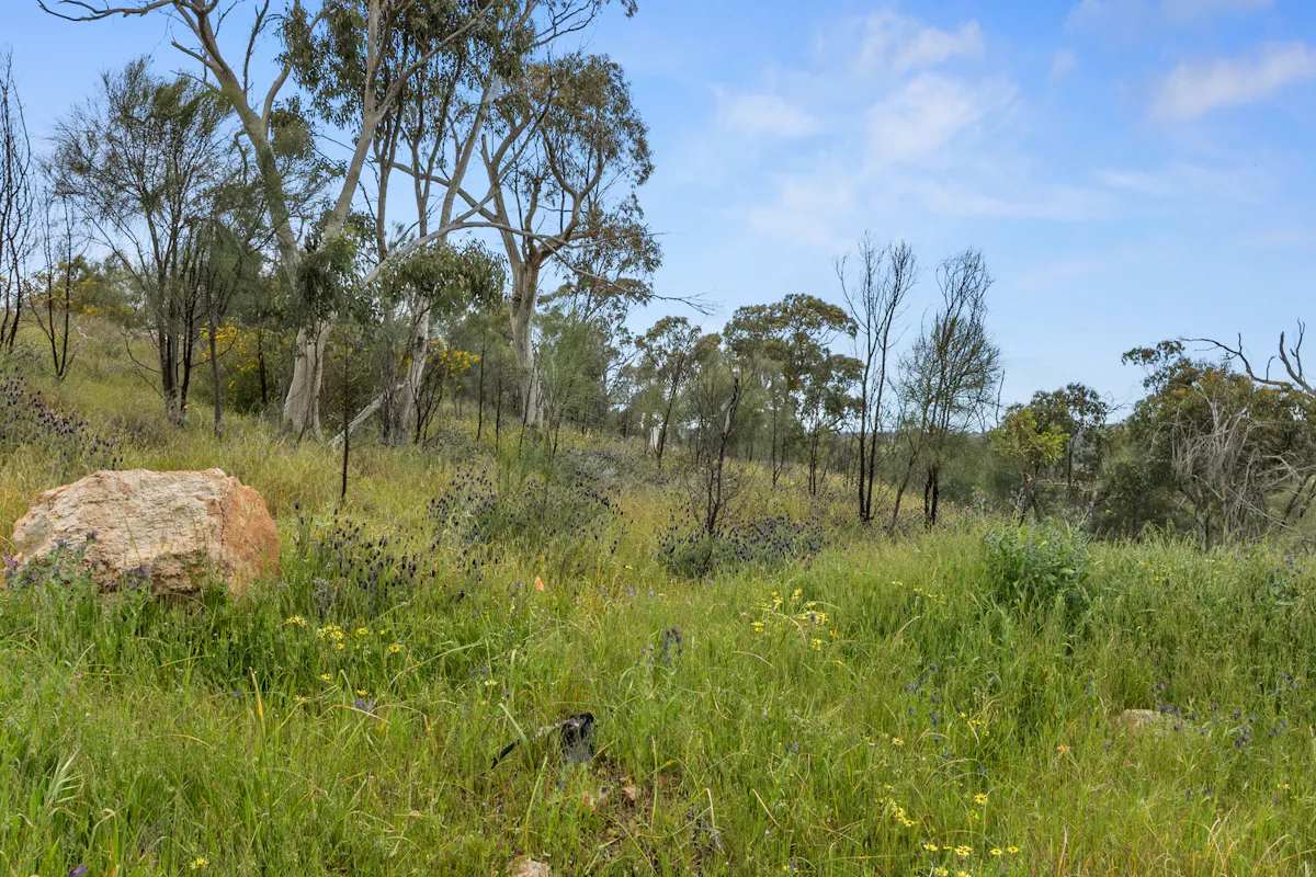 125 Emu Flat Road — photo 8 of 18