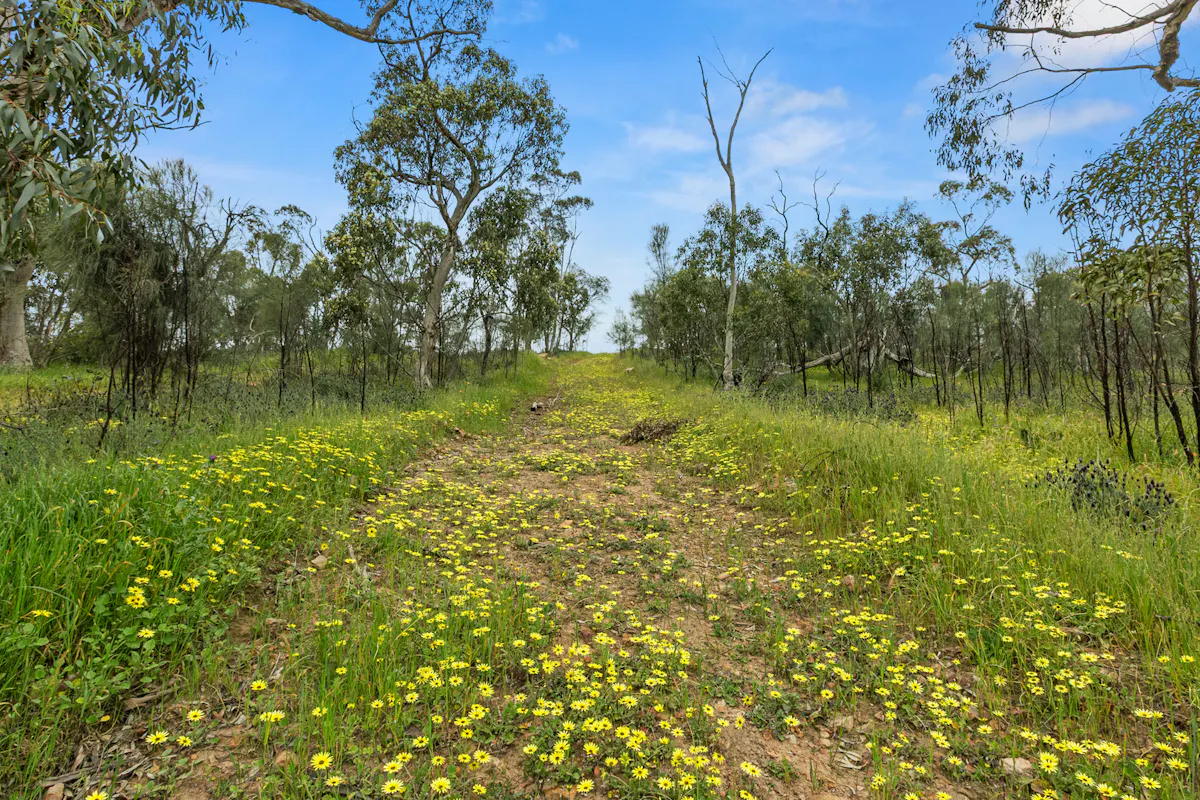 125 Emu Flat Road — photo 9 of 18