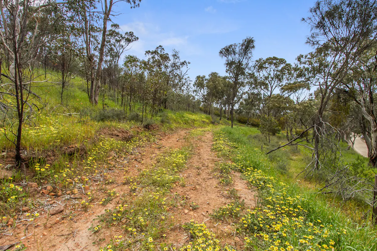 125 Emu Flat Road — photo 10 of 18