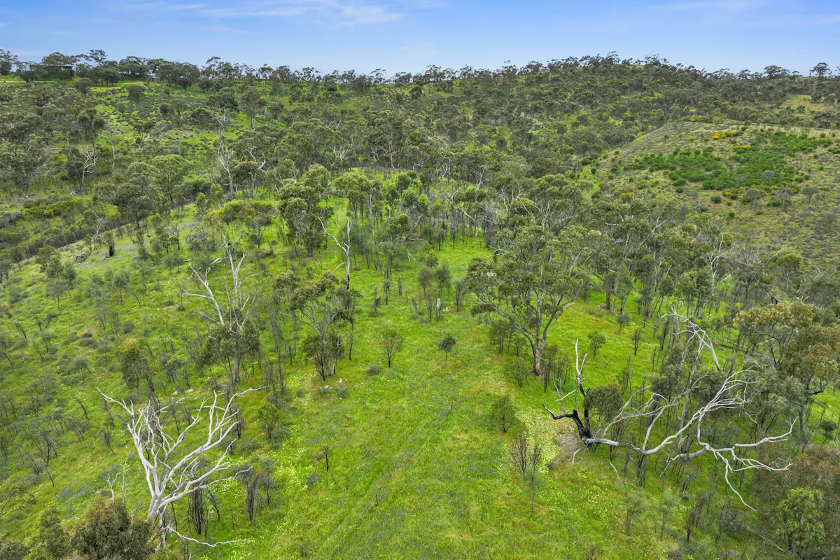 125 Emu Flat Road — photo 14 of 18