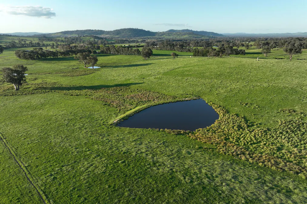 Lot 2/126 Boyes Road, Leneva, VIC, 3691 - Image 6