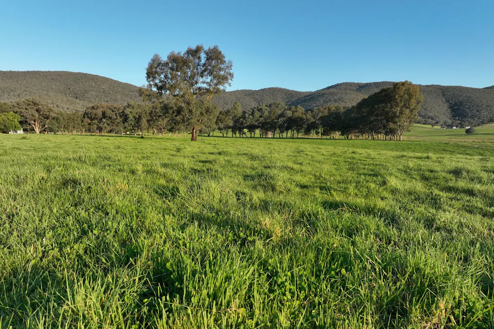 Lot 2/126 Boyes Road, Leneva, VIC, 3691 - Image 5