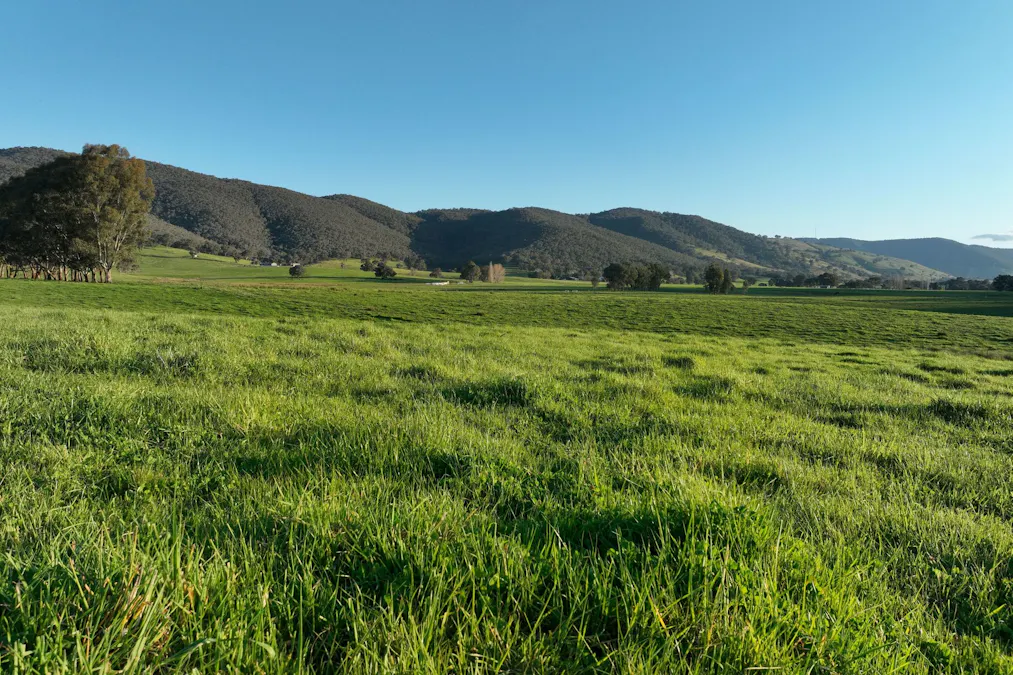 Lot 2/126 Boyes Road, Leneva, VIC, 3691 - Image 8