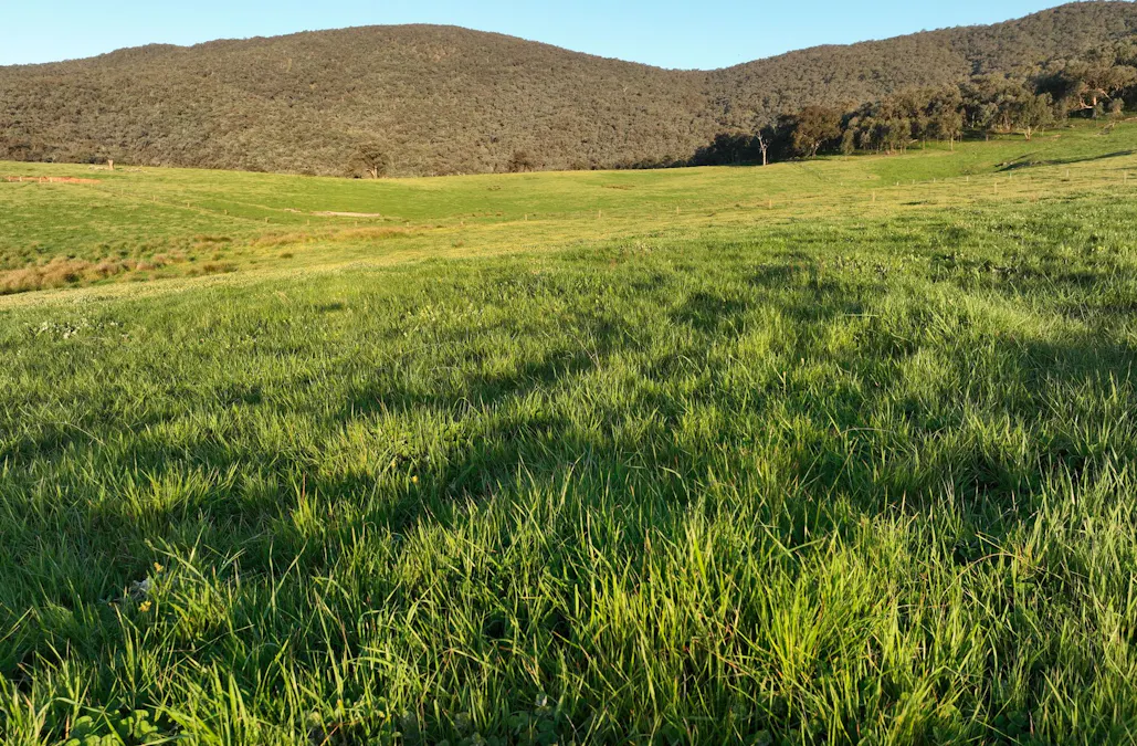 Lot 2/126 Boyes Road, Leneva, VIC, 3691 - Image 9