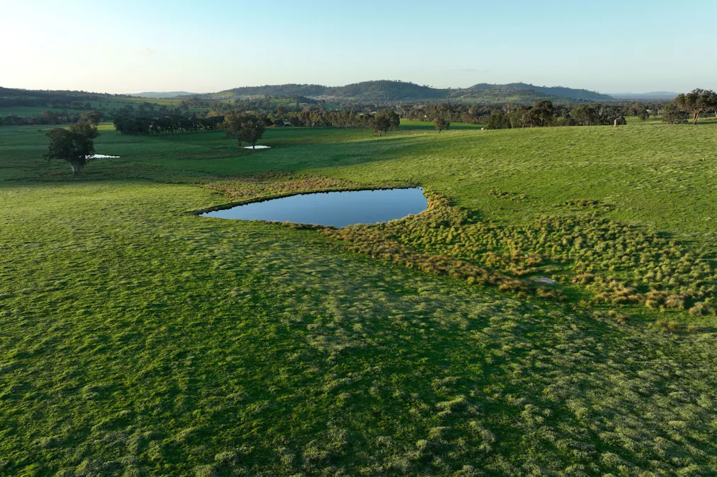 Lot 2/126 Boyes Road, Leneva, VIC, 3691 - Image 10