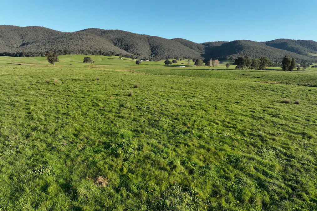 Lot 2/126 Boyes Road, Leneva, VIC, 3691 - Image 11