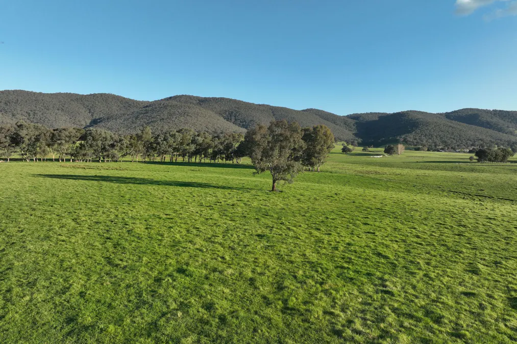 Lot 2/126 Boyes Road, Leneva, VIC, 3691 - Image 12