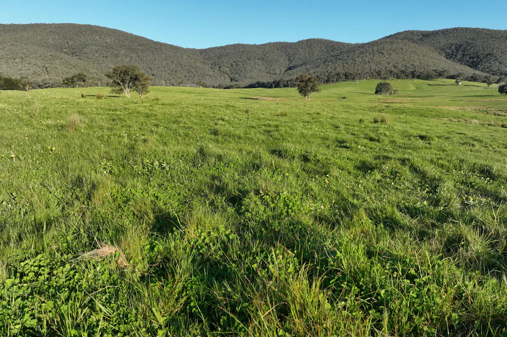 Lot 2/126 Boyes Road, Leneva, VIC, 3691 - Image 13