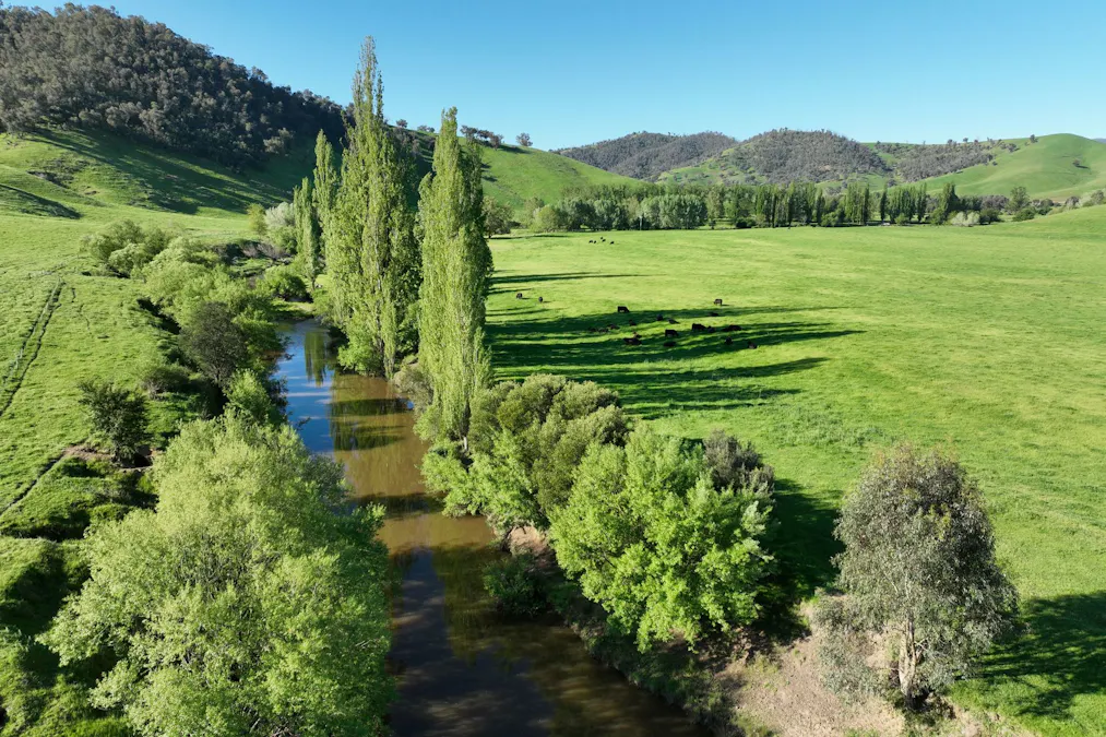 95 Jingellic Road, Jingellic, NSW, 2642 - Image 4