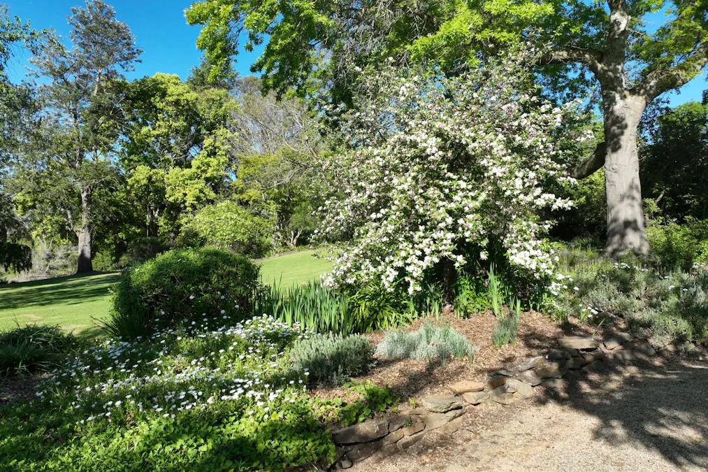 95 Jingellic Road, Jingellic, NSW, 2642 - Image 16