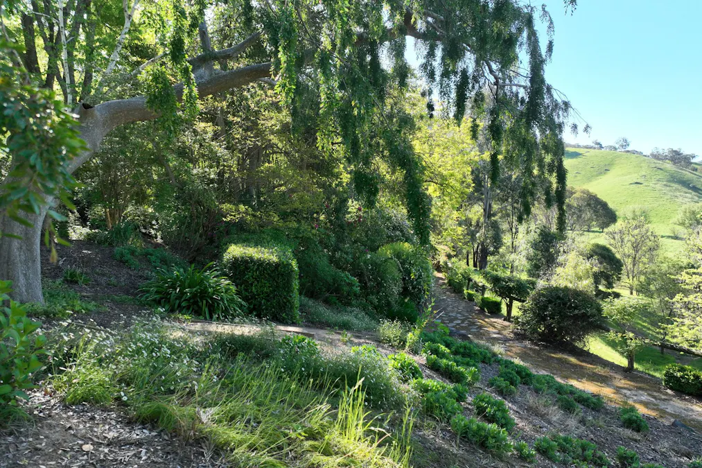 95 Jingellic Road, Jingellic, NSW, 2642 - Image 17