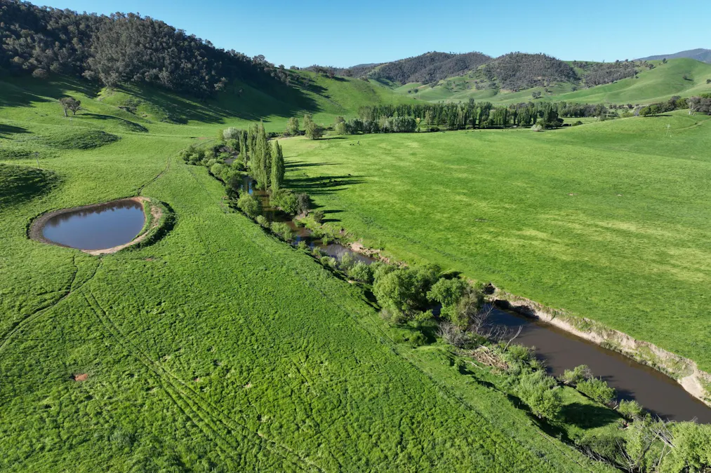 95 Jingellic Road, Jingellic, NSW, 2642 - Image 26