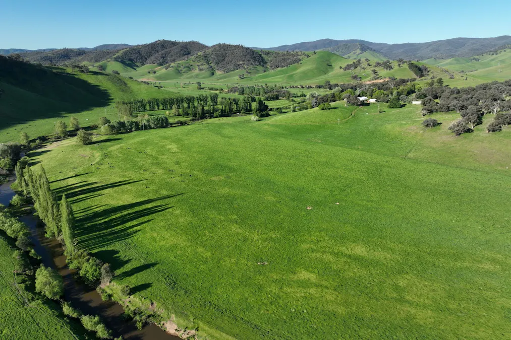95 Jingellic Road, Jingellic, NSW, 2642 - Image 2