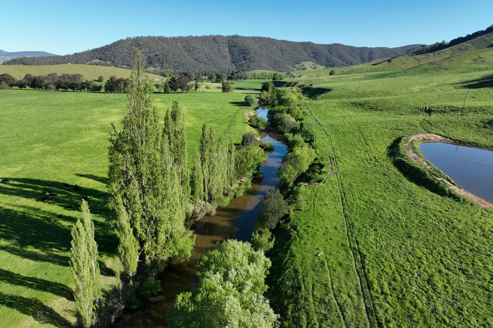 95 Jingellic Road, Jingellic, NSW, 2642 - Image 29