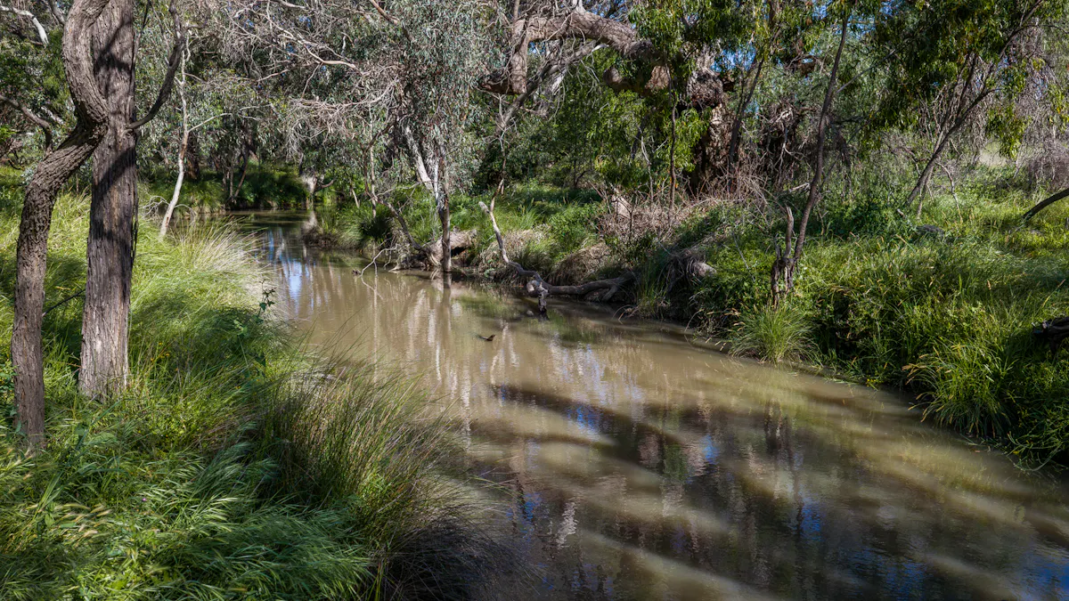 440 Gundong Road, Tomingley, NSW, 2869 - Image 5