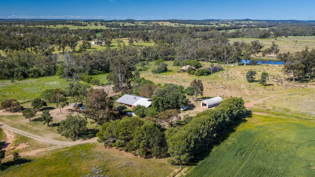440 Gundong Road, Tomingley, NSW, 2869 - Image 15