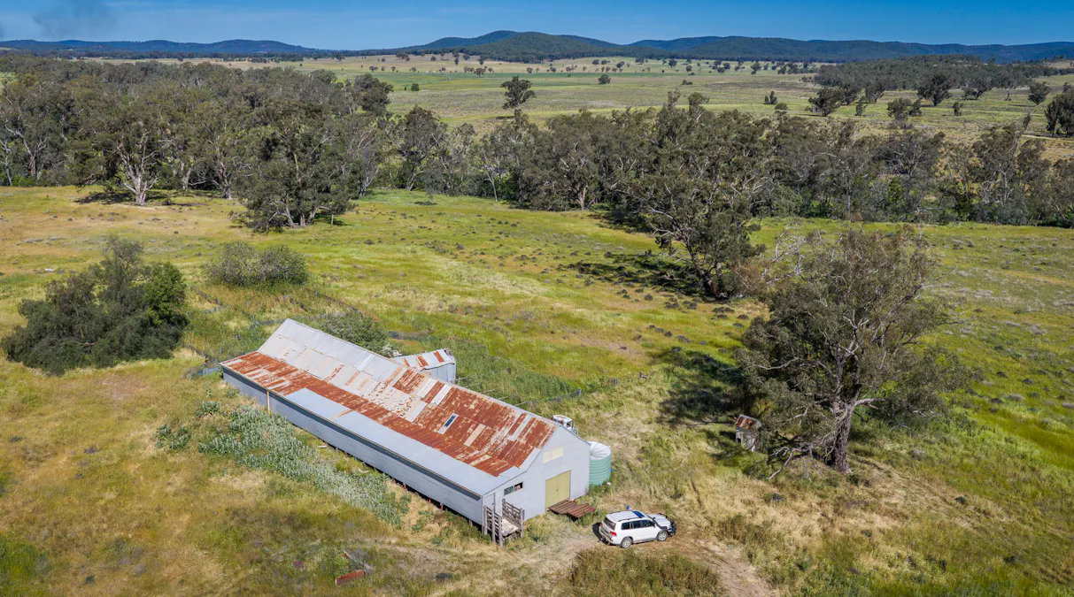 440 Gundong Road, Tomingley, NSW, 2869 - Image 22