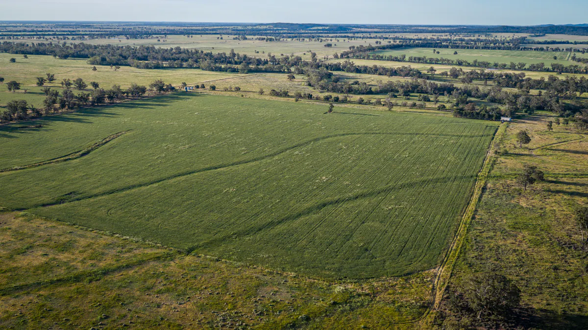440 Gundong Road, Tomingley, NSW, 2869 - Image 14