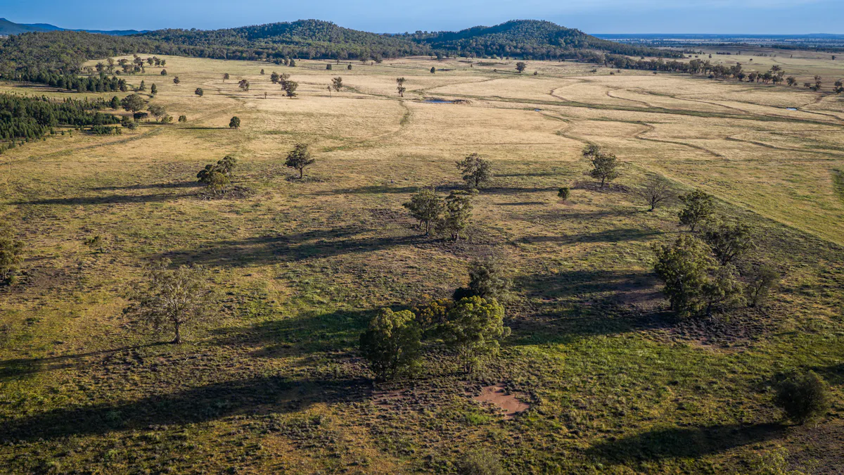 440 Gundong Road, Tomingley, NSW, 2869 - Image 9