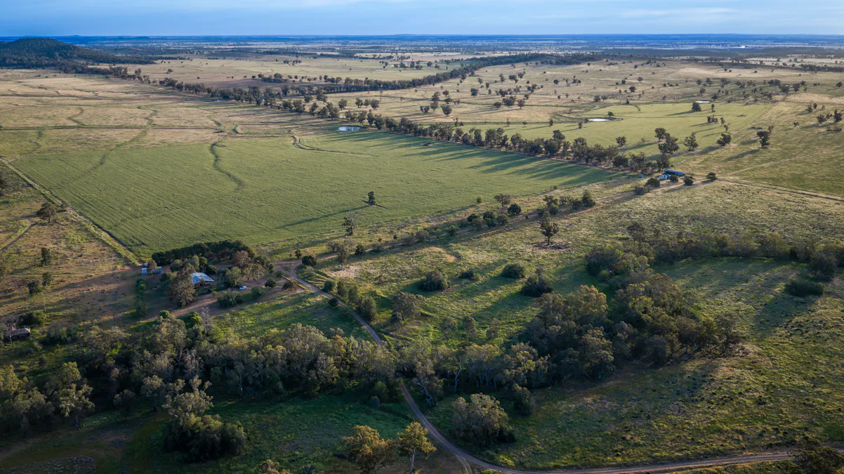440 Gundong Road, Tomingley, NSW, 2869 - Image 27