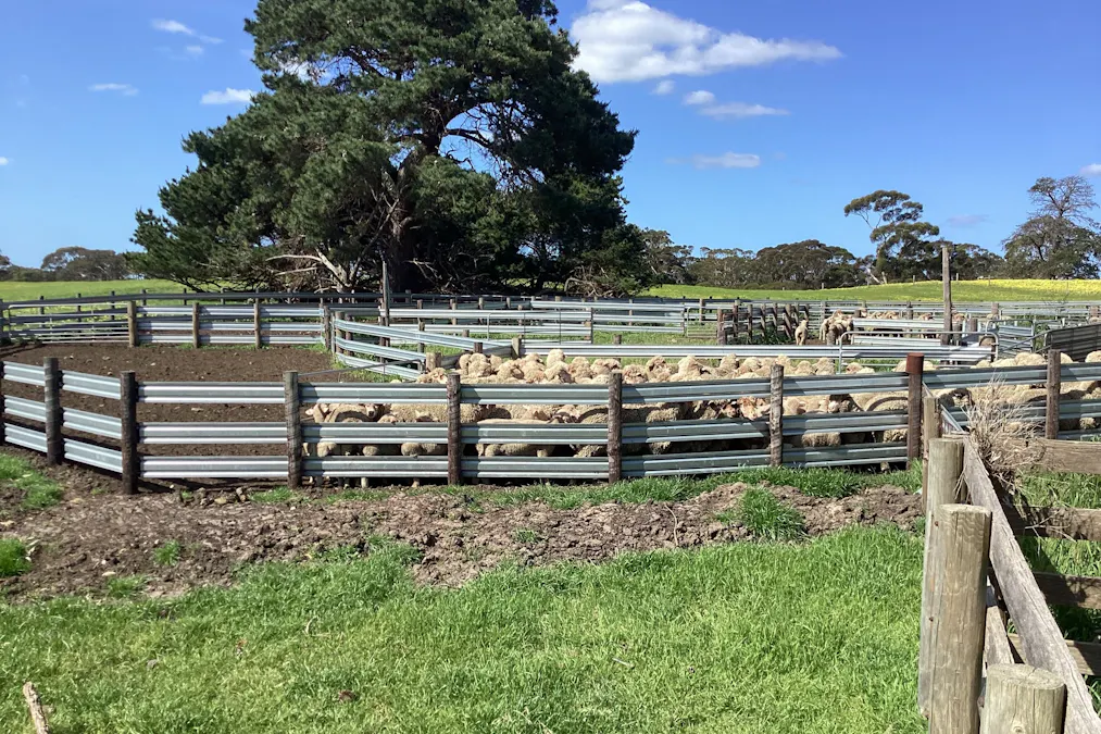 Lot 21 SOUTH COAST Road, Seddon, SA, 5223 - Image 2
