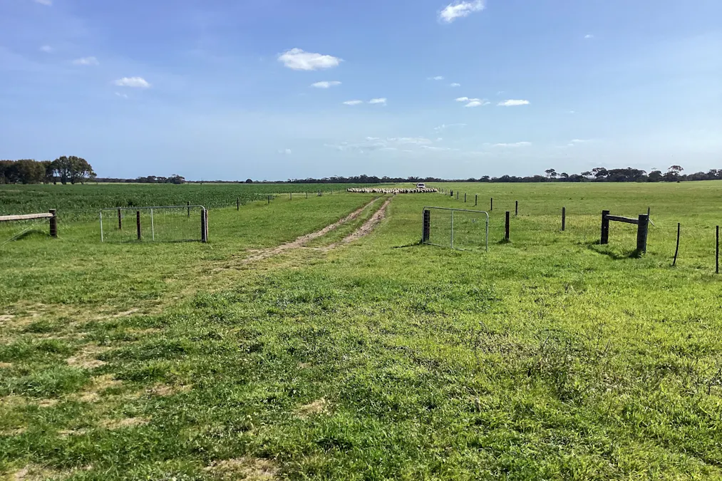 Lot 21 SOUTH COAST Road, Seddon, SA, 5223 - Image 13