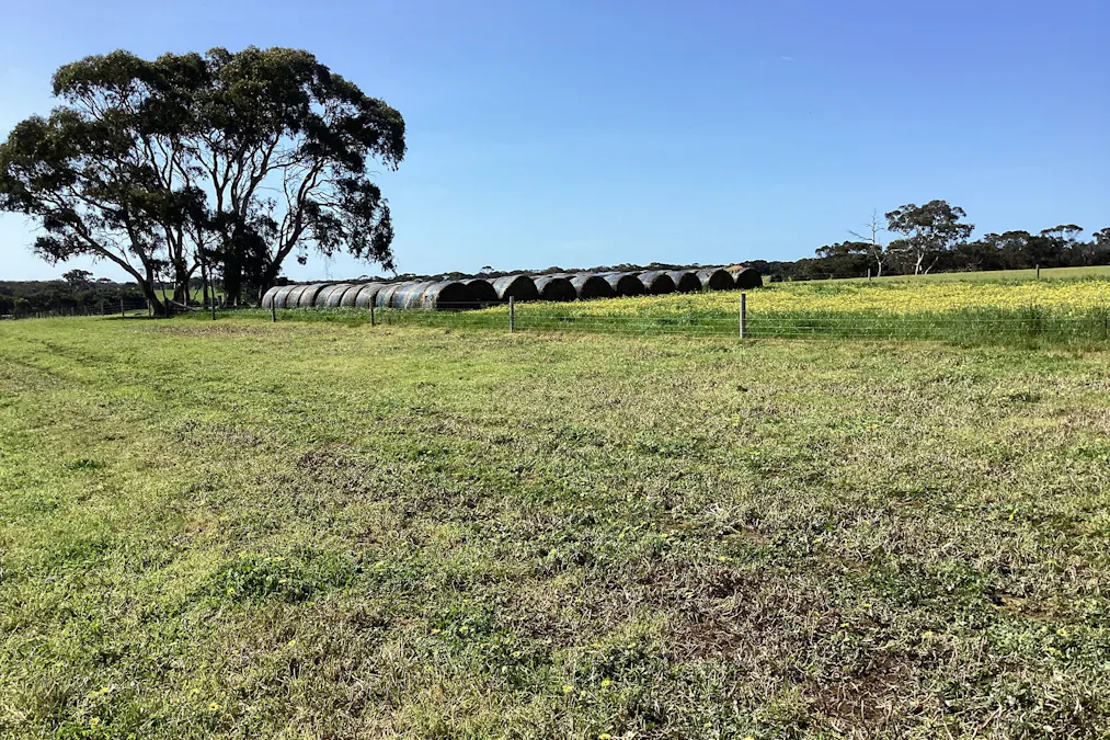 Lot 21 SOUTH COAST Road, Seddon, SA, 5223 - Image 17