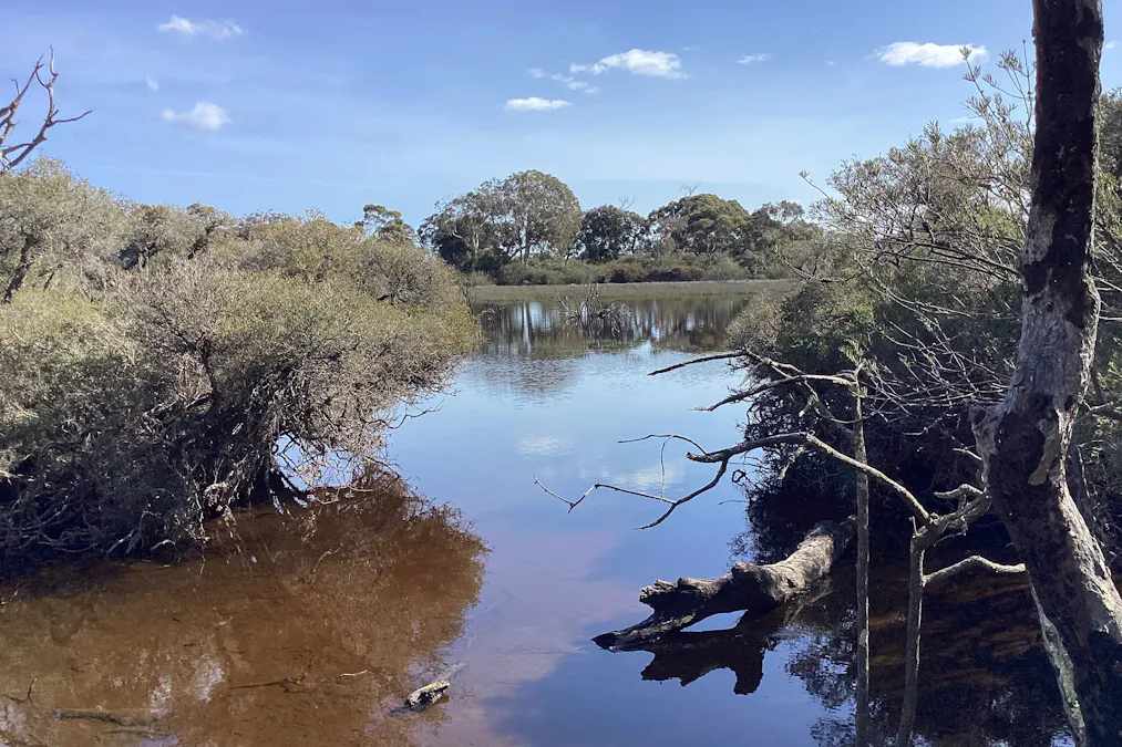 Lot 21 SOUTH COAST Road, Seddon, SA, 5223 - Image 19