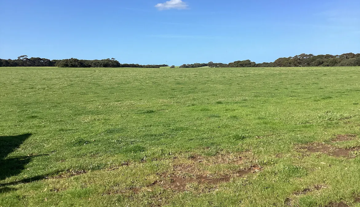 Lot 21 SOUTH COAST Road, Seddon, SA, 5223 - Image 20