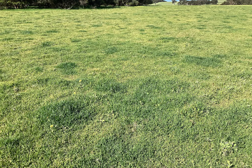 Lot 21 SOUTH COAST Road, Seddon, SA, 5223 - Image 22