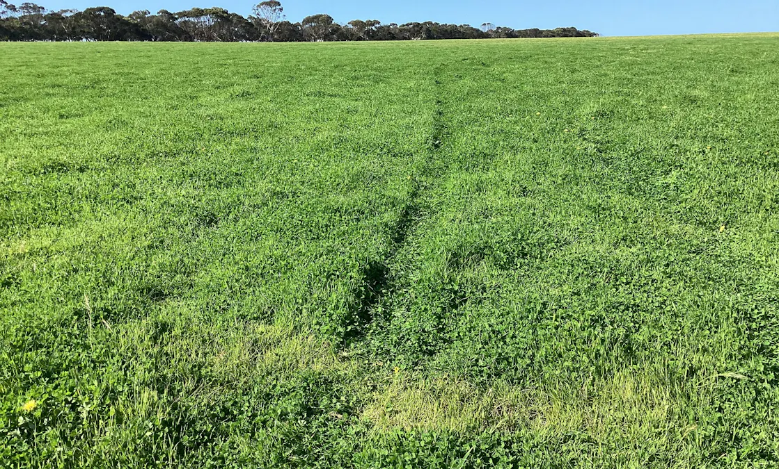 Lot 21 SOUTH COAST Road, Seddon, SA, 5223 - Image 23
