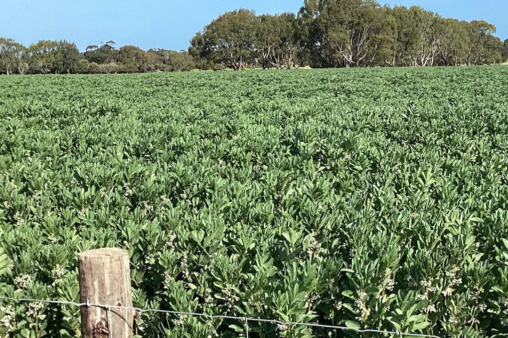 Lot 21 SOUTH COAST Road, Seddon, SA, 5223 - Image 9