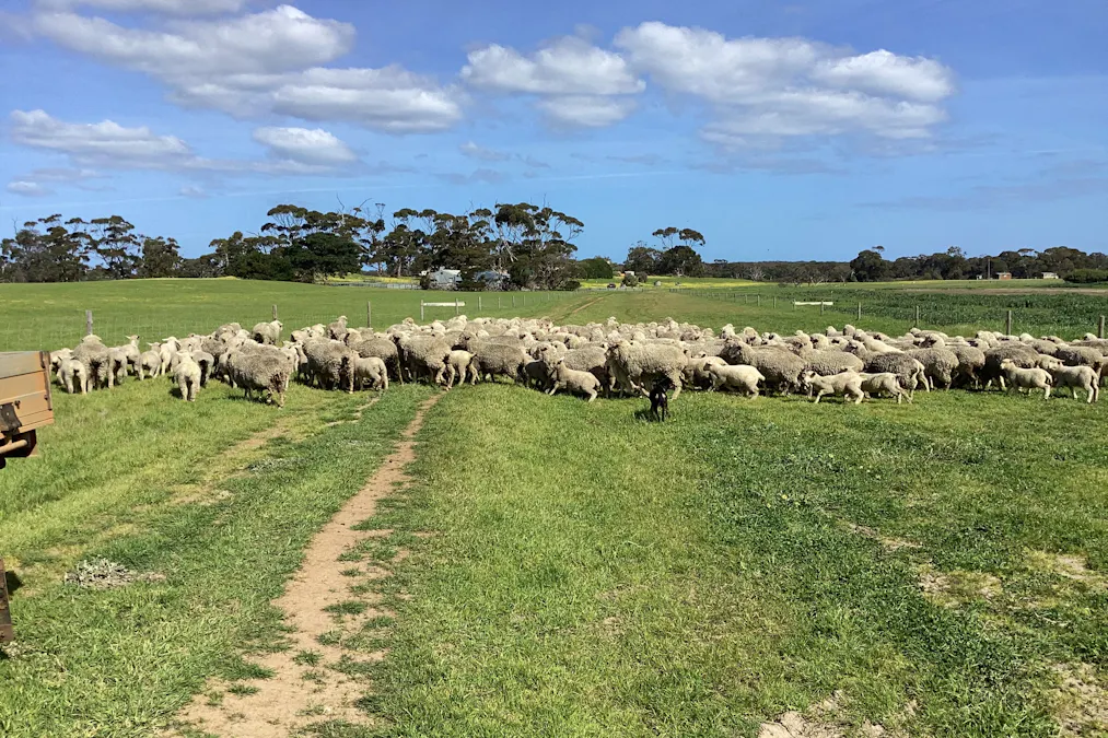 Lot 21 SOUTH COAST Road, Seddon, SA, 5223 - Image 27