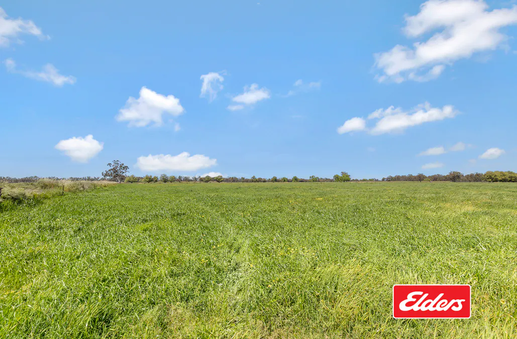 325  O'Brien Road, Undera, VIC, 3629 - Image 26