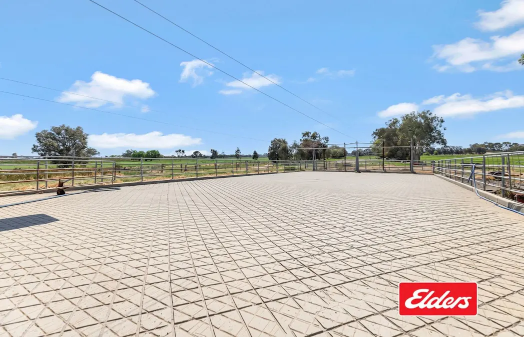 325  O'Brien Road, Undera, VIC, 3629 - Image 5