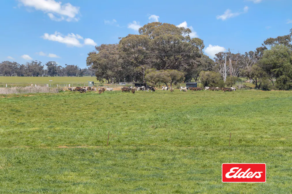 325  O'Brien Road, Undera, VIC, 3629 - Image 33
