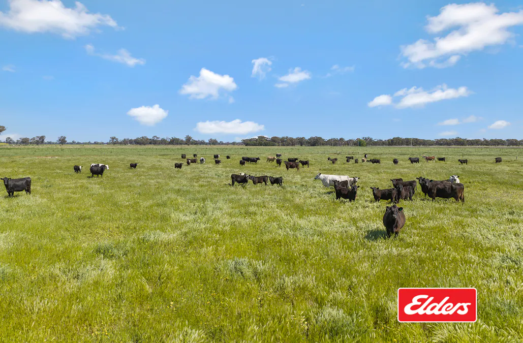 325  O'Brien Road, Undera, VIC, 3629 - Image 32