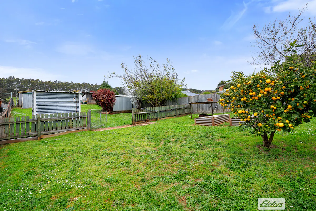 10 Collins Street — photo 15 of 19