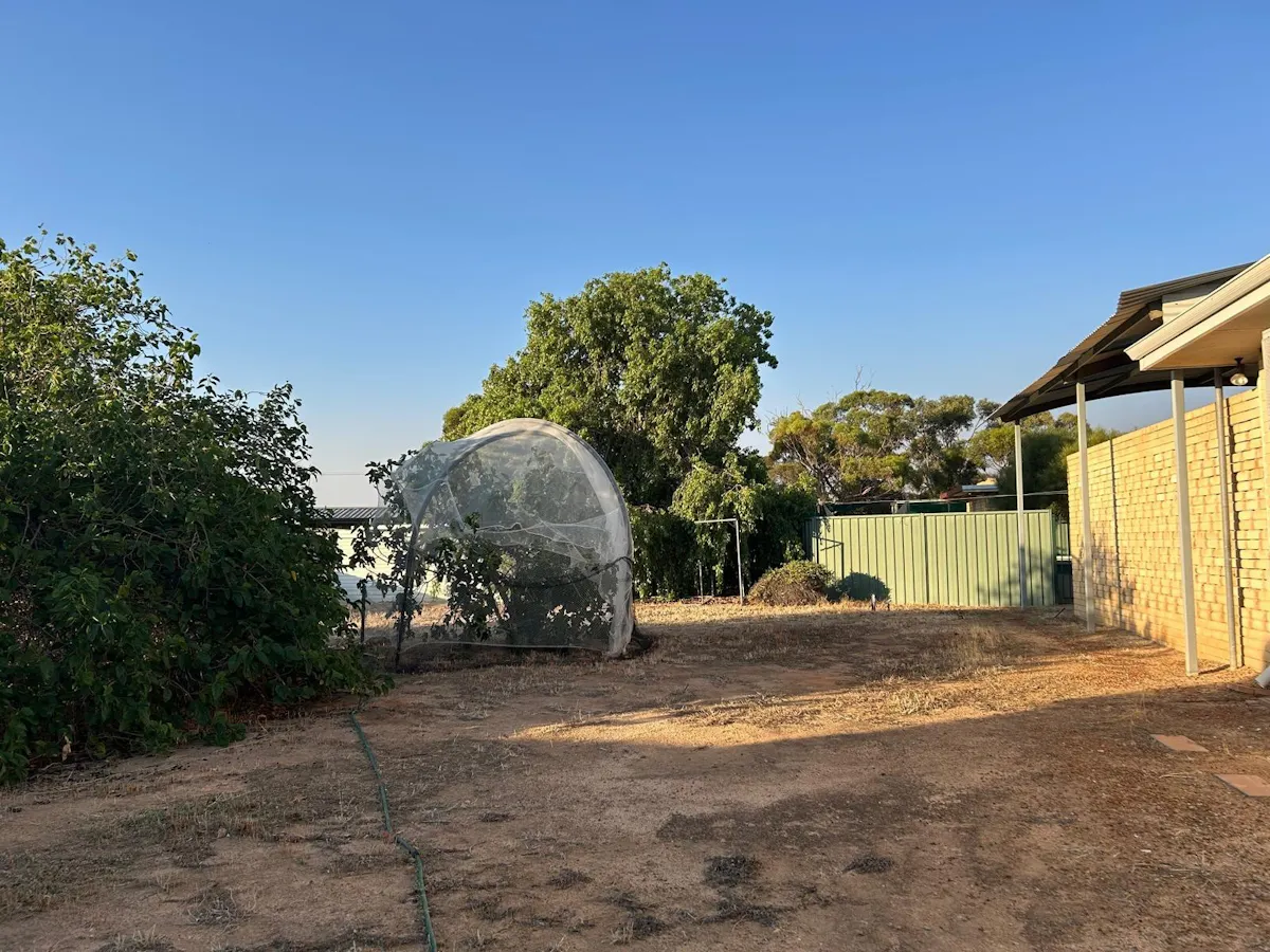 4 Lodge Street — photo 14 of 15