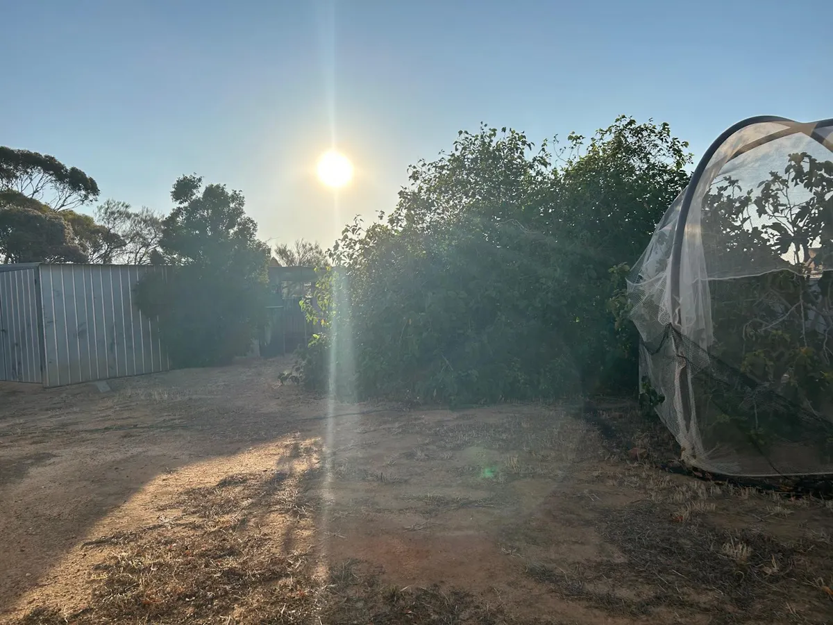 4 Lodge Street — photo 15 of 15