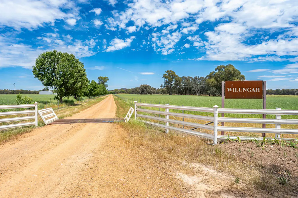 547 Culcairn Holbrook Road, Holbrook, NSW, 2644 - Image 3