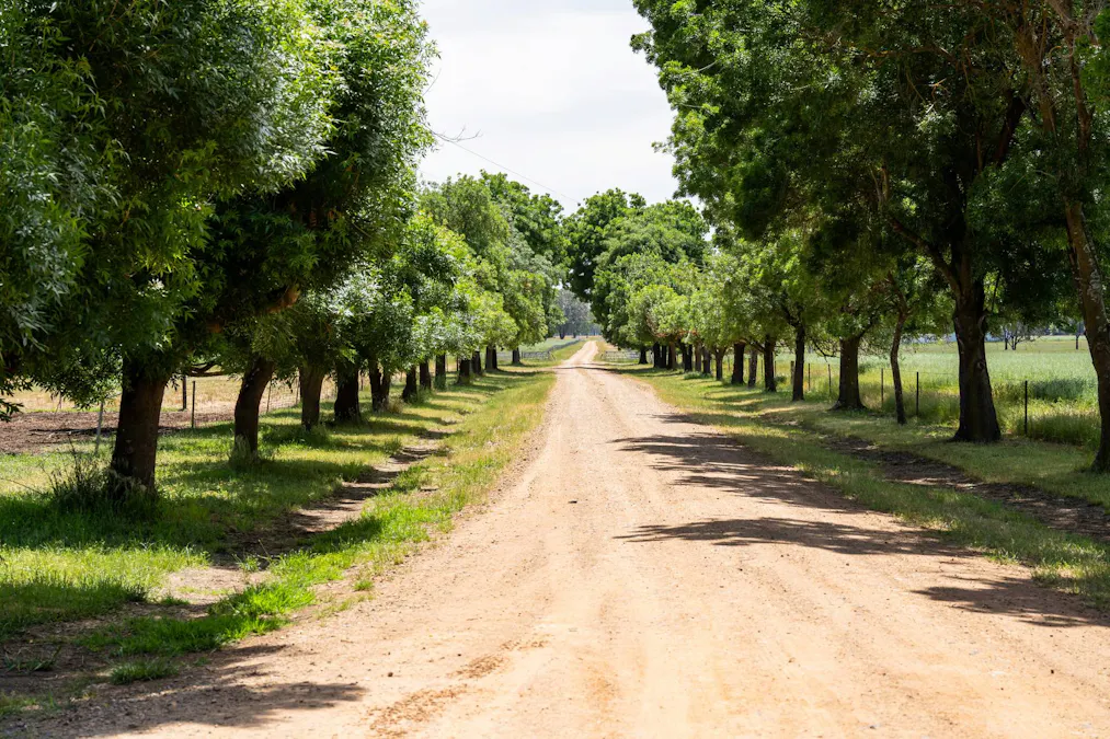 547 Culcairn Holbrook Road, Holbrook, NSW, 2644 - Image 5