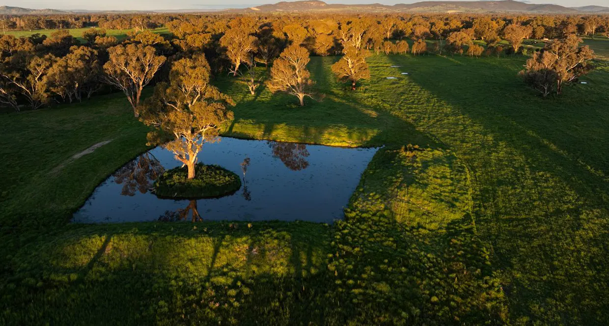 547 Culcairn Holbrook Road, Holbrook, NSW, 2644 - Image 29